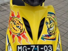澳门德安改装踏板 - Yamaha RS-Z