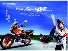 新大洲本田 SDH150  战鹰赛车版图2
