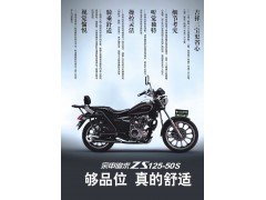 宗申摩托_ZS125-50S图2