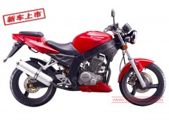 鑫源摩托公路跑车路风 XY250-5图1