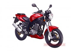 鑫源摩托公路跑车路风 XY250-5图2