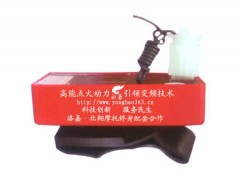 多功能节油型直流变频式全自动进角点火器图1