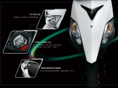 台湾山叶2011'RS Zero