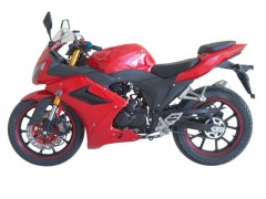 日雅摩托-地平线跑车X-SPORT 250图1