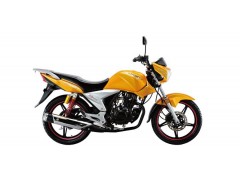 力帆摩托劲途 LF150-2图1