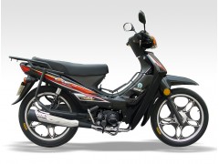鑫源摩托 金凤XY110-C图1