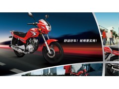 建设摩托CQ125-28D（龙驹）图3