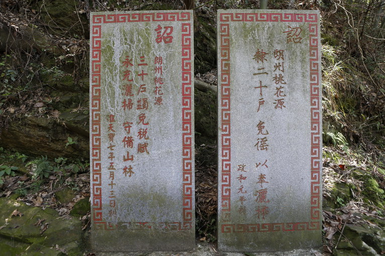 点击图片查看相册