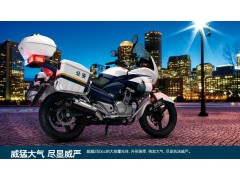 豪爵铃木骊驰GW250J-H警用摩托车图2