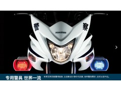 豪爵铃木骊驰GW250J-H警用摩托车图3