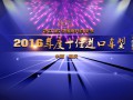 2016年度十佳进口车型_2016中国摩托车行业年度十佳进口车型