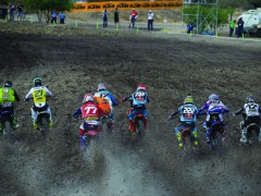 2017 MXGP世界越野锦标赛-第四站