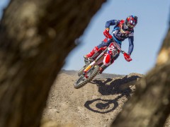 2017 MXGP世界越野锦标赛-第四站