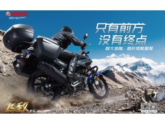 建设·雅马哈 国四飞致YS250 双碟版图3