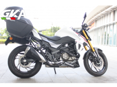适用于摩托车豪爵DR300边架图1