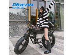【包邮】飞鸽电动自行车SUPER73同款变速雪地山地男女越野宽胎助力电瓶车图3